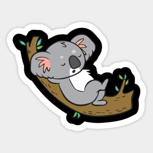 Koala - sleeps on tree Sticker